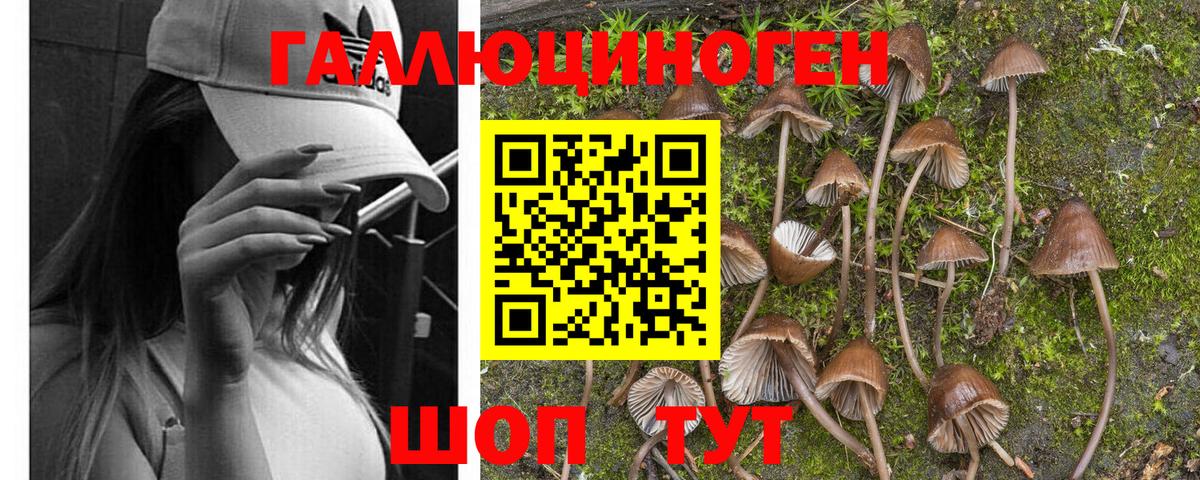 Губкинский  Псилоцибиновые грибы ЛСД  Вход с VPN 
